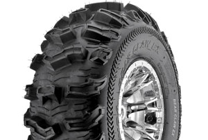 K573F Bear Cl